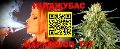 мдпв Гусев