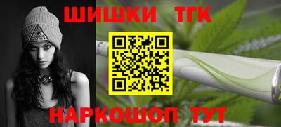 мдпв Гусев