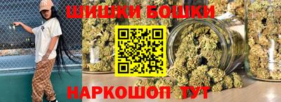 мдпв Гусев