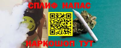 мдпв Гусев