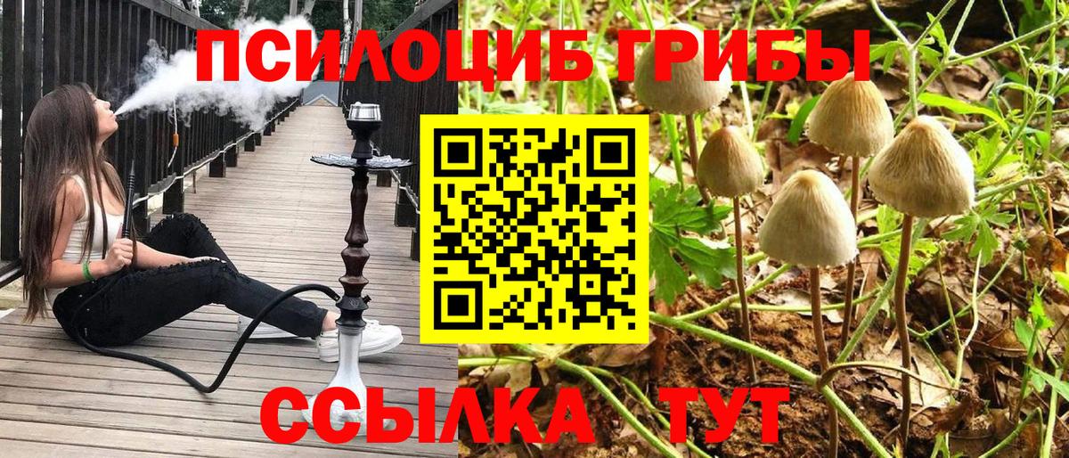 Галлюциногенные грибы мицелий  Вход с VPN  Новоалександровск 